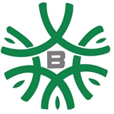 安徽必海微软件科技有限公司