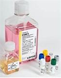 LONZA  EGM-2-内皮细胞培养基（现货促销）