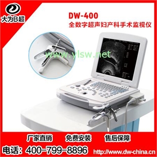 可视人流机 可视人流仪 DW-400