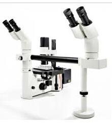 常规倒置荧光显微镜