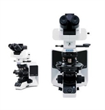 奥林巴斯偏光显微镜 BX53-P