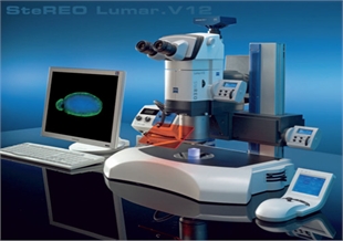 SteREO Luma.V12 立体显微镜