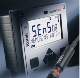 Stratos Pro 彩显用于 pH 值、传导率或氧气的分析测量仪