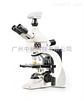DM1750 M徕卡光学显微镜