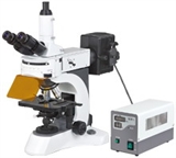 荧光显微镜用途，荧光显微镜价格，N-800F 实验室荧光显微镜