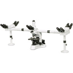 实验室观察显微镜，显微镜价格，N-510系列多人观察显微镜