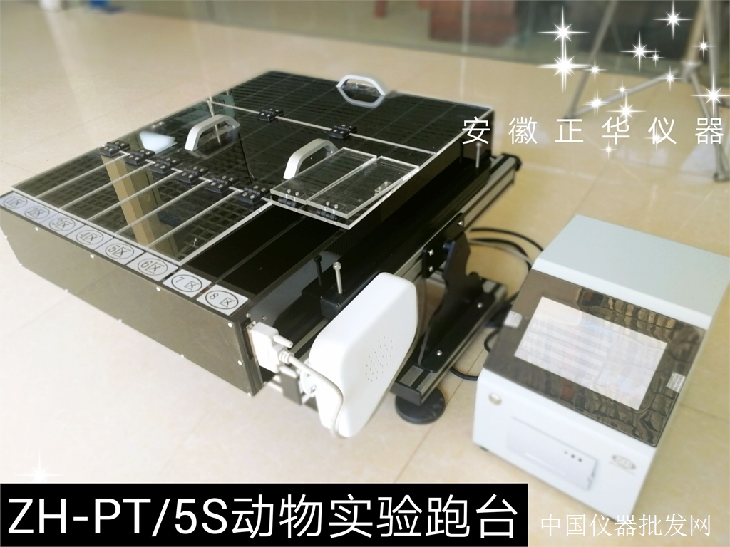 小动物跑台 大小鼠兔子跑步机 动物跑步机