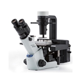 奥林巴斯倒置荧光显微镜CKX53