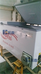  卧式防爆冰柜 BL-WS1080D 防爆冷冻柜