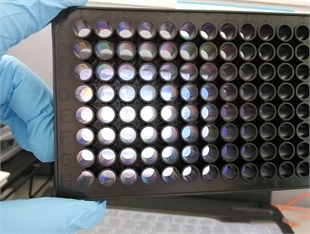 96孔全黑底透酶标板，96孔全白底透细胞培养板