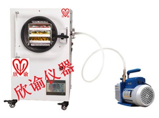 小型冻干机XY-FD-L1水果冷冻干燥机