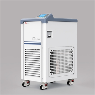 长城实验室仪器低温冷却液循环泵DLSB-5/20