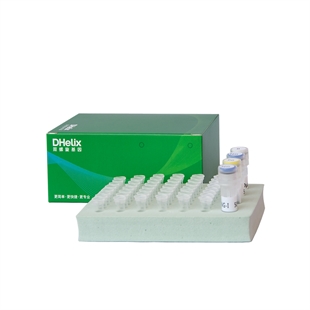 pCaMV35S基因核酸检测试剂盒