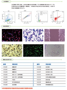 MDL细胞实验技术服务