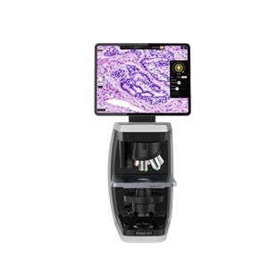 Rebel 2IN1 正/倒置Hybrid显微镜