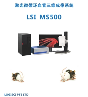 活体微循环三维成像系统LSI MS500