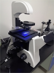 XDS-FL(LED) 倒置荧光显微镜