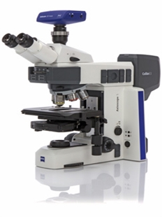 正置显微镜Axioscope 5