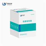 青岛华晶  医用抗酸染色液