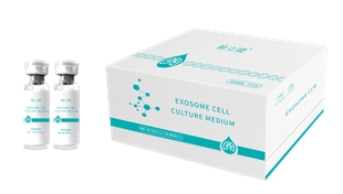 低温外泌体产品肺部保健