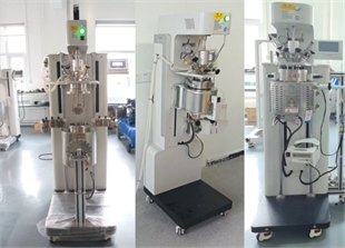 高温高压机械搅拌反应釜