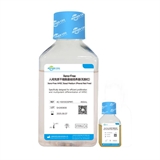 埃泽思 AC-1001003PRF Xeno-Free 人间充质干细胞培养基（无酚红）