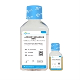 人脐带间充质干细胞无血清培养基(无酚红）